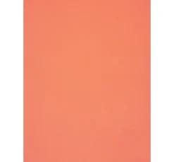 Outlet Meyco Moosgummi-Platten, 1 mm