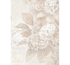 Outlet Stamperia Motiv-Strohseide Backgrounds