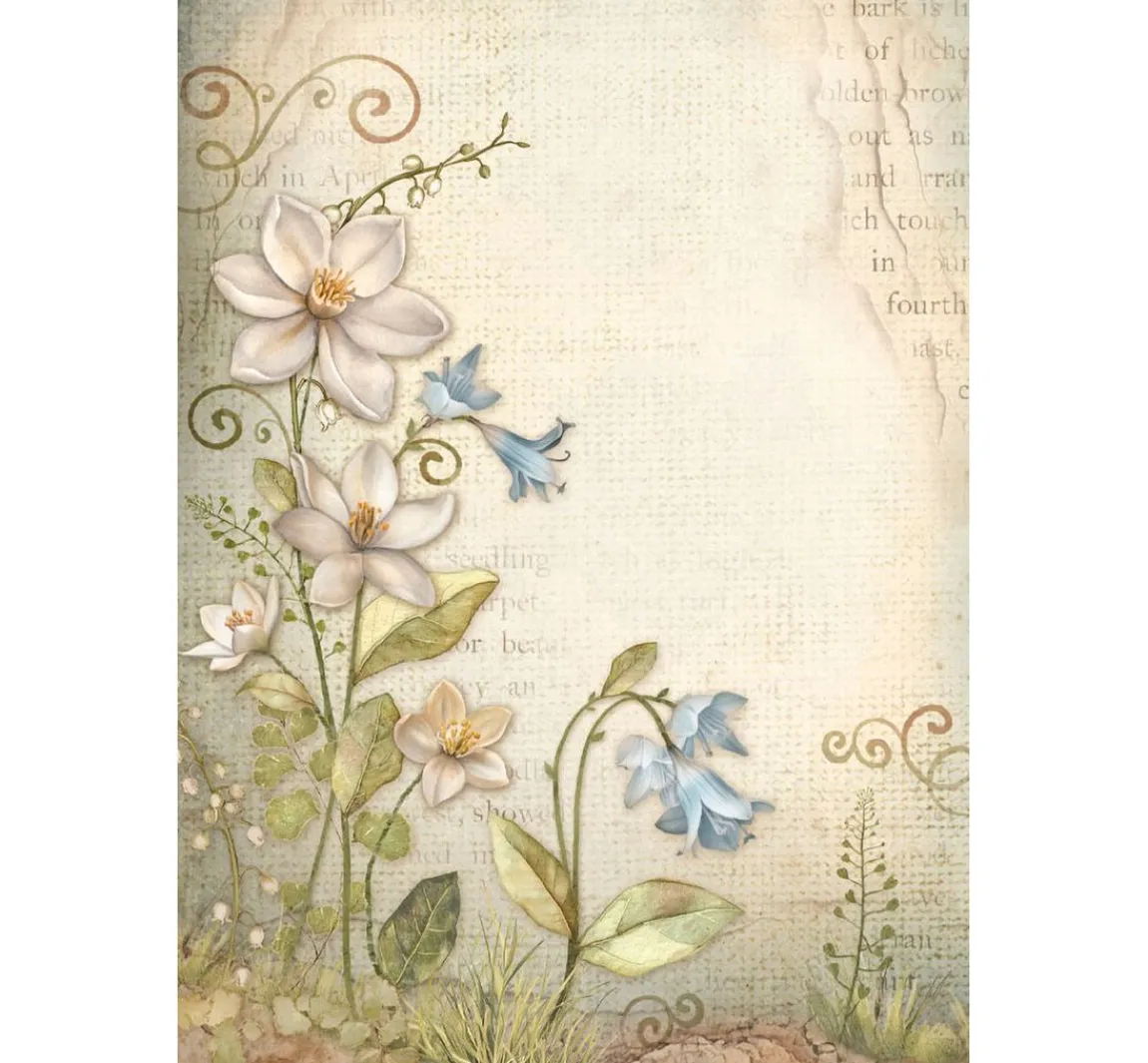 Outlet Stamperia Motiv-Strohseide Backgrounds "Hidden Grove"