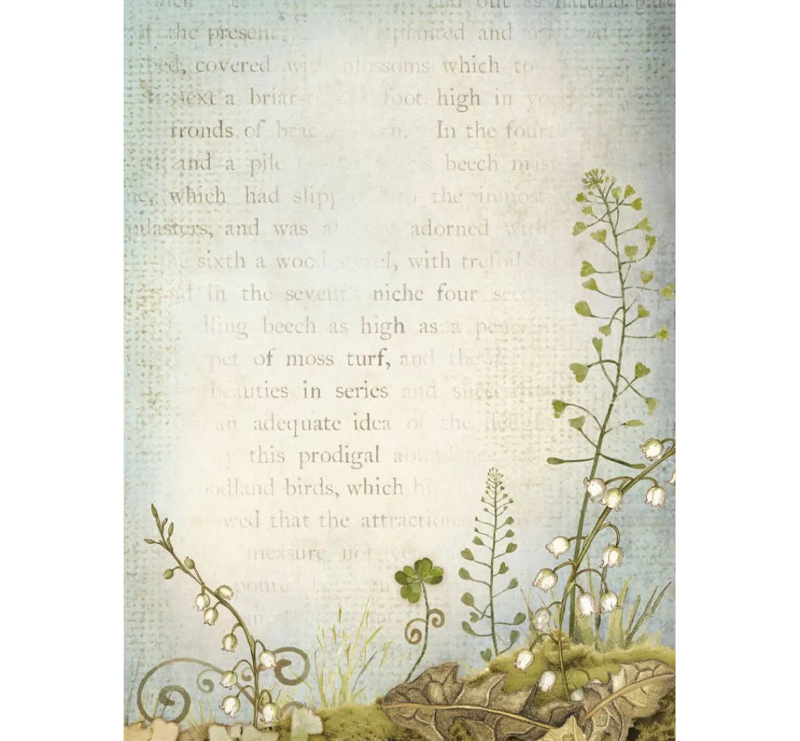 Outlet Stamperia Motiv-Strohseide Backgrounds "Hidden Grove"