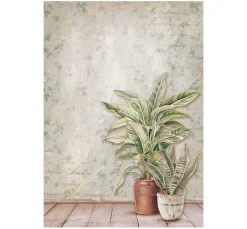 Clearance Stamperia Motiv-Strohseide Backgrounds