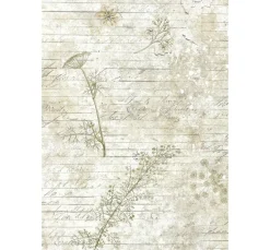 Clearance Stamperia Motiv-Strohseide Backgrounds "Herbarium Silvae", 8er Set