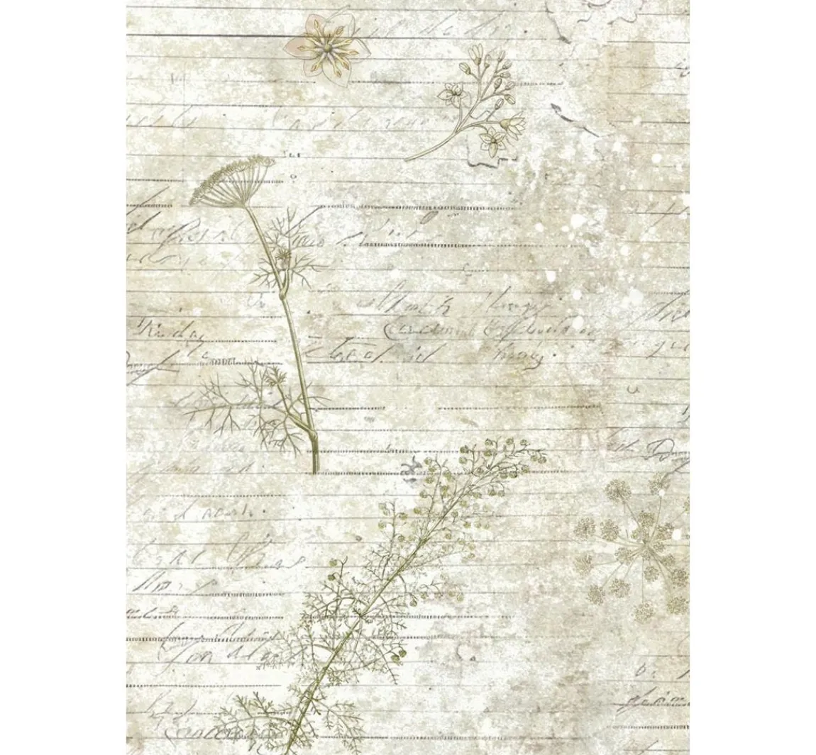 Clearance Stamperia Motiv-Strohseide Backgrounds "Herbarium Silvae", 8er Set
