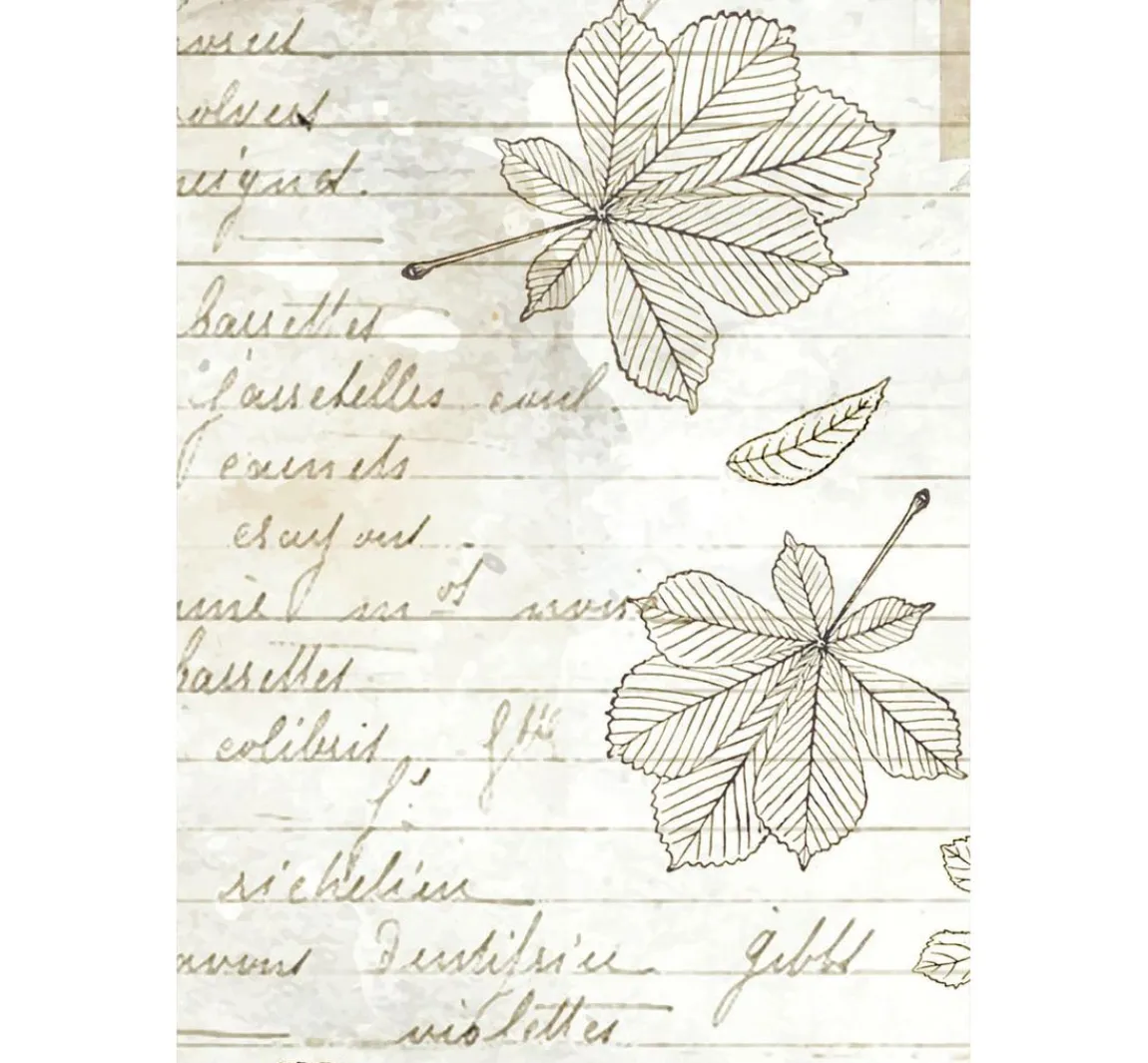 Clearance Stamperia Motiv-Strohseide Backgrounds "Herbarium Silvae", 8er Set