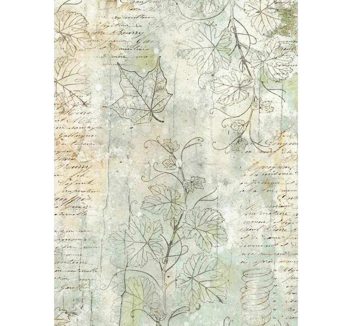Clearance Stamperia Motiv-Strohseide Backgrounds "Herbarium Silvae", 8er Set