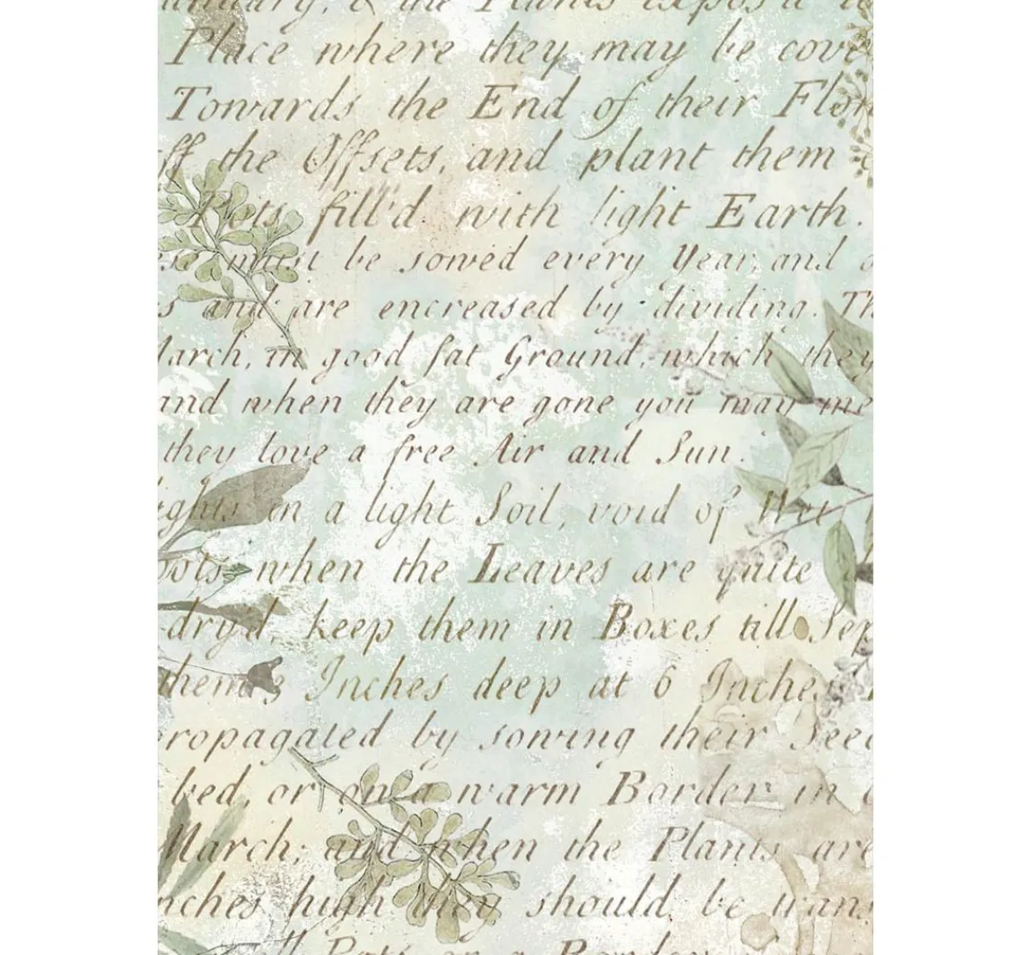 Clearance Stamperia Motiv-Strohseide Backgrounds "Herbarium Silvae", 8er Set