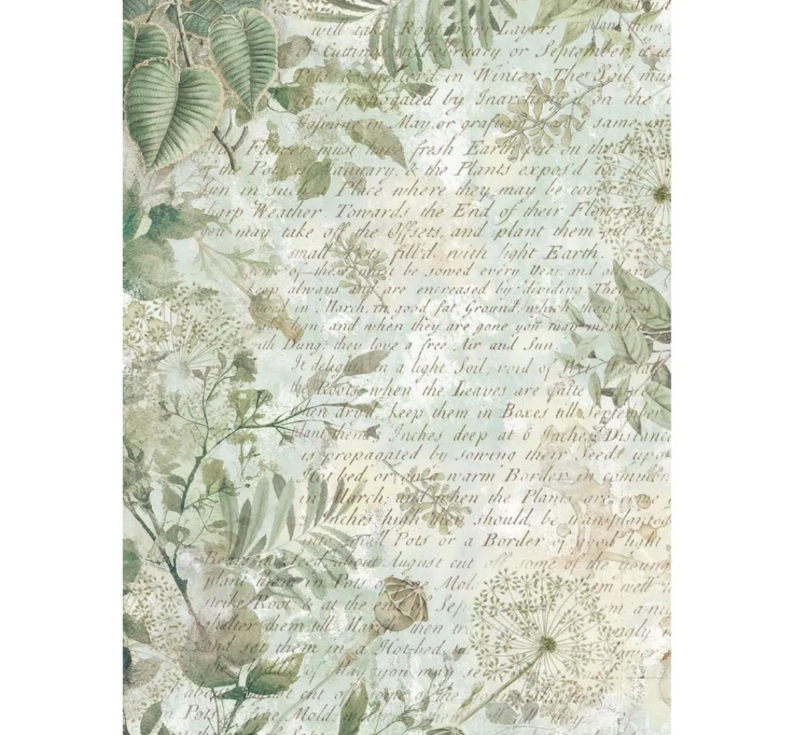 Clearance Stamperia Motiv-Strohseide Backgrounds "Herbarium Silvae", 8er Set
