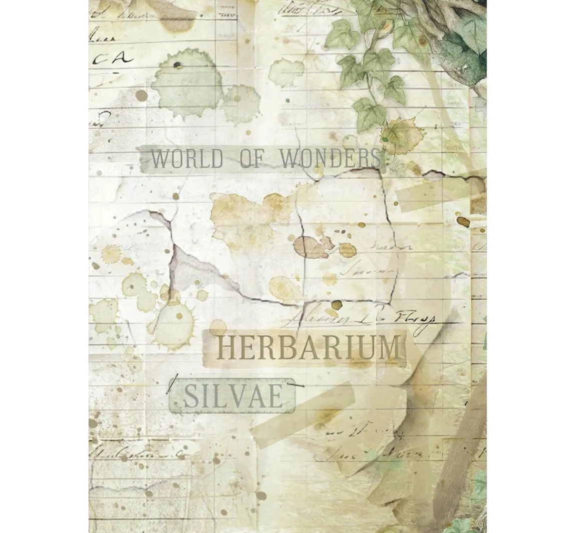 Clearance Stamperia Motiv-Strohseide Backgrounds "Herbarium Silvae", 8er Set