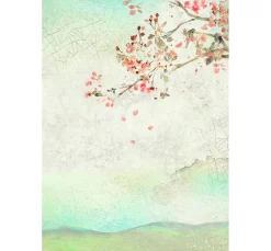 Best Stamperia Motiv-Strohseide Backgrounds