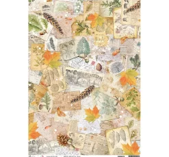 Hot Ciao Bella Motiv-Strohseide "Herbststimmung"