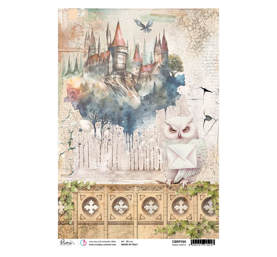Online Ciao Bella Motiv-Strohseide "Wizard Academy - Magic Castle"