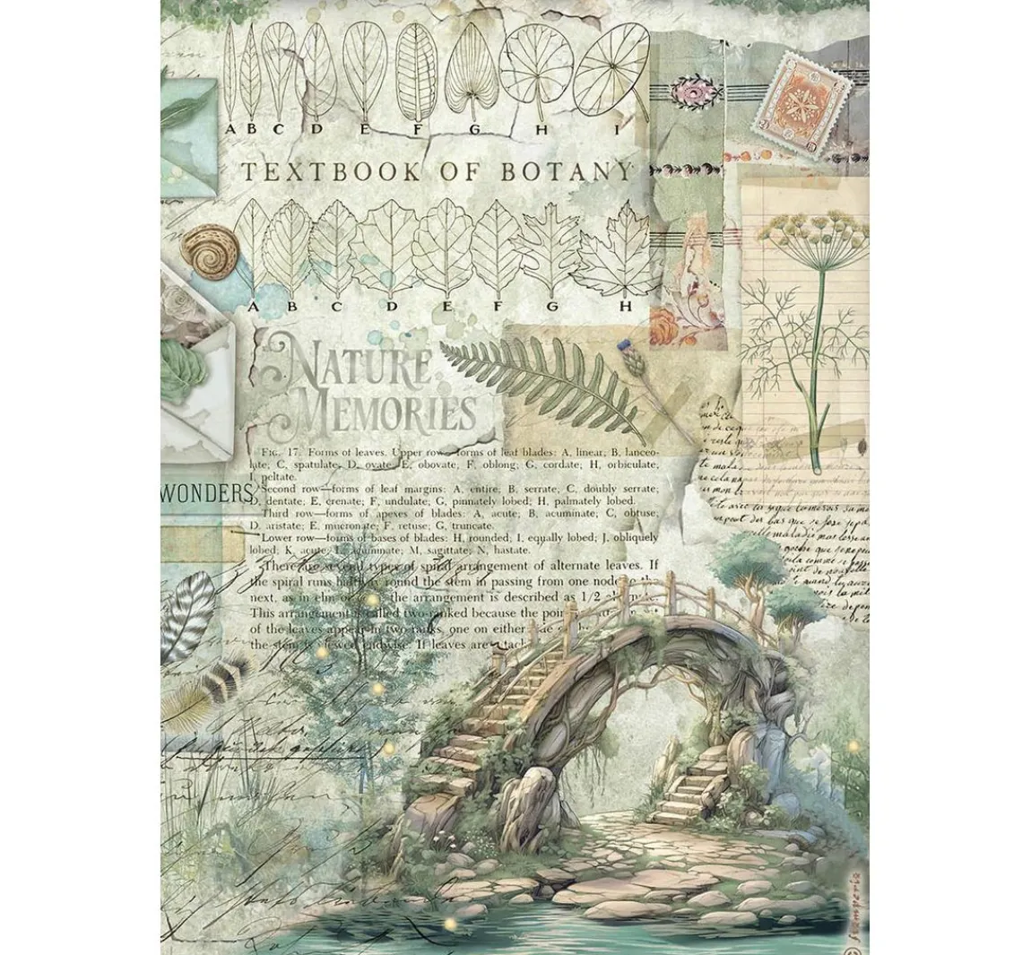 Sale Stamperia Motiv-Strohseiden Sortiment "Herbarium Silvae", 6er-Set