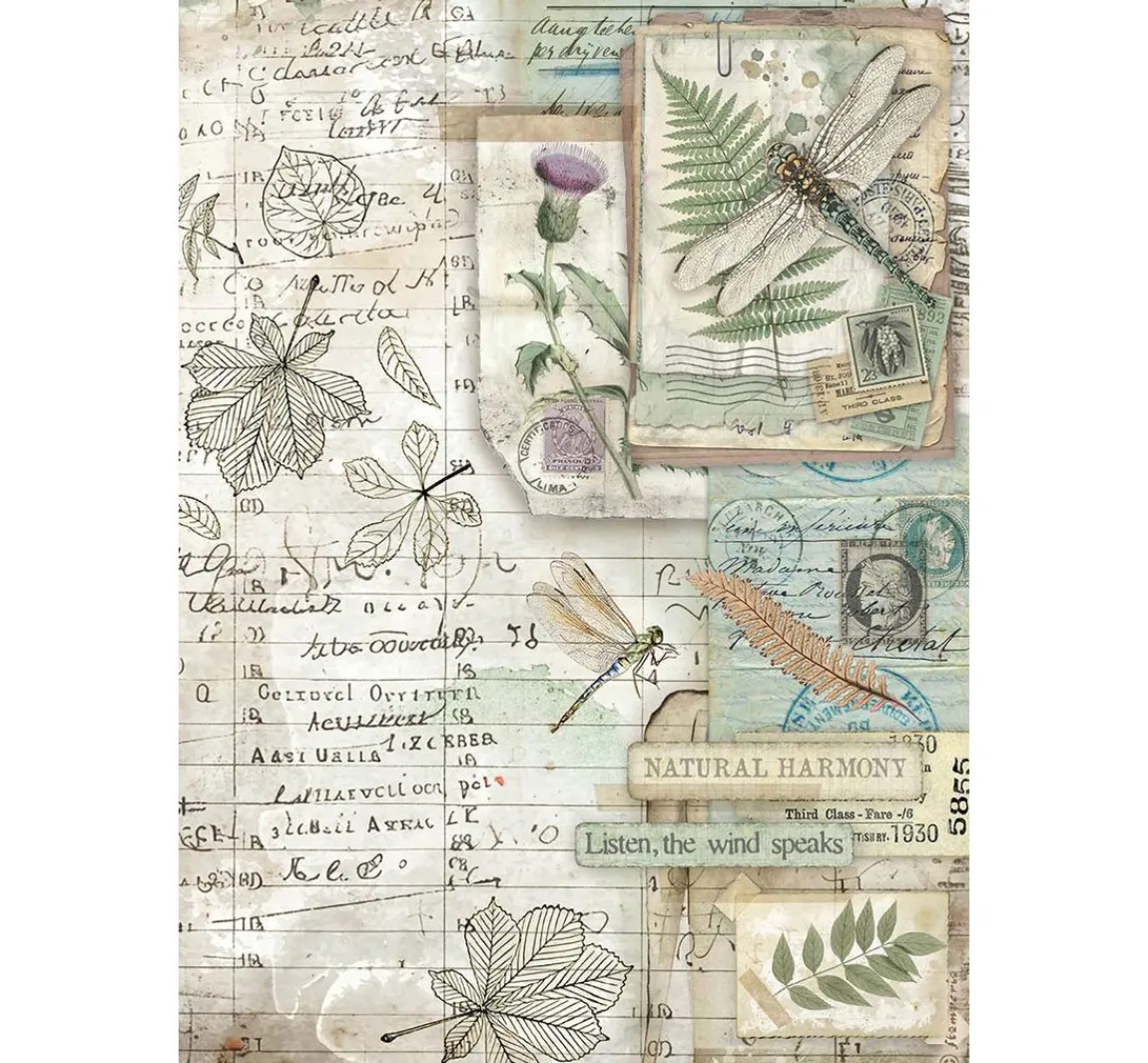 Sale Stamperia Motiv-Strohseiden Sortiment "Herbarium Silvae", 6er-Set