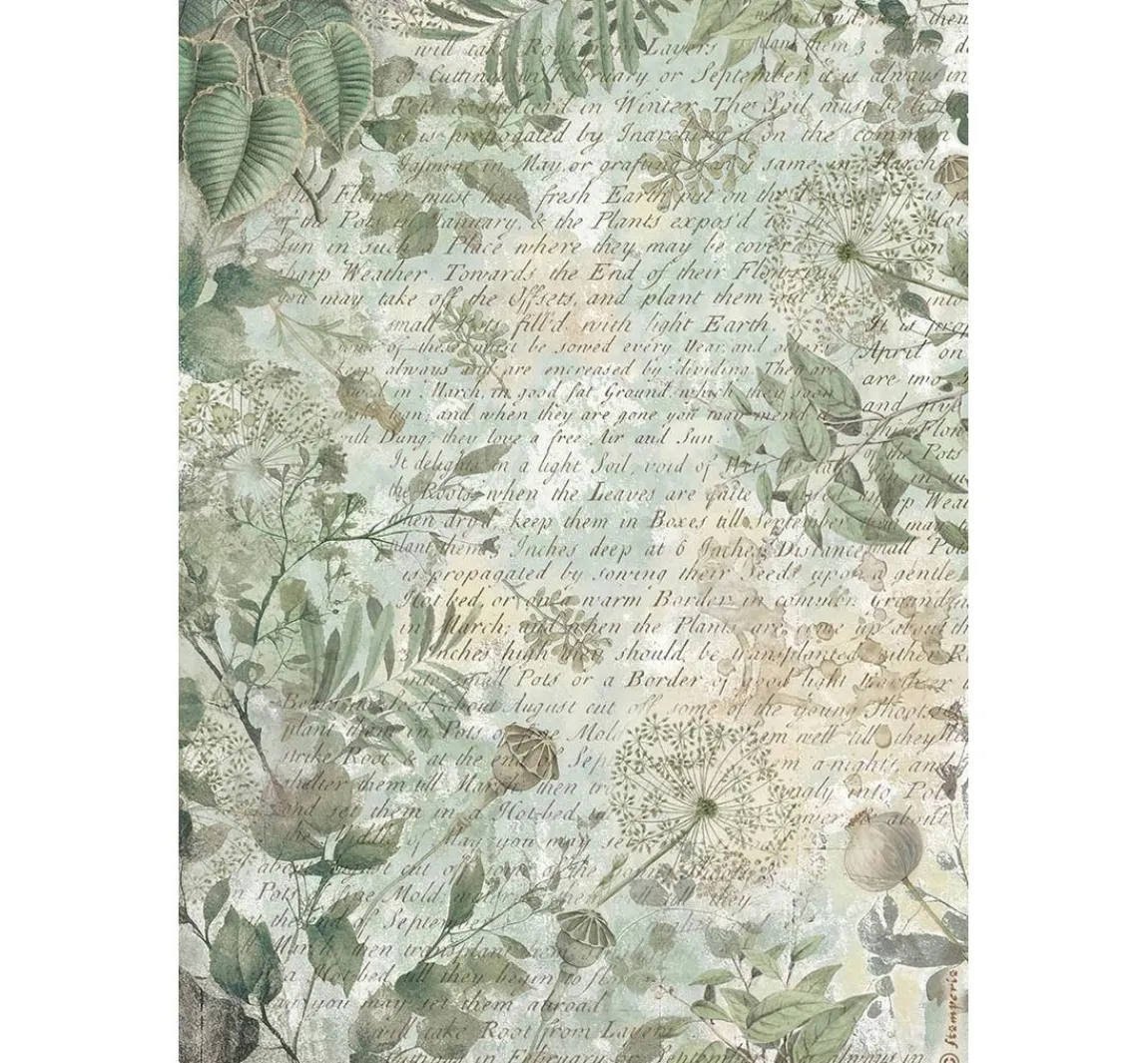 Sale Stamperia Motiv-Strohseiden Sortiment "Herbarium Silvae", 6er-Set