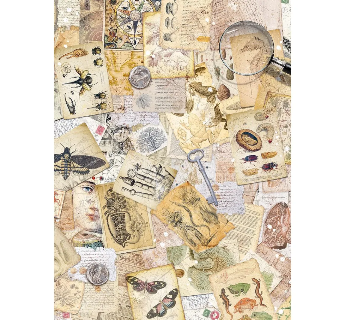 Outlet Ciao Bella Motiv-Strohseiden Sortiment "Cabinet of Curiosities", 8er-Set