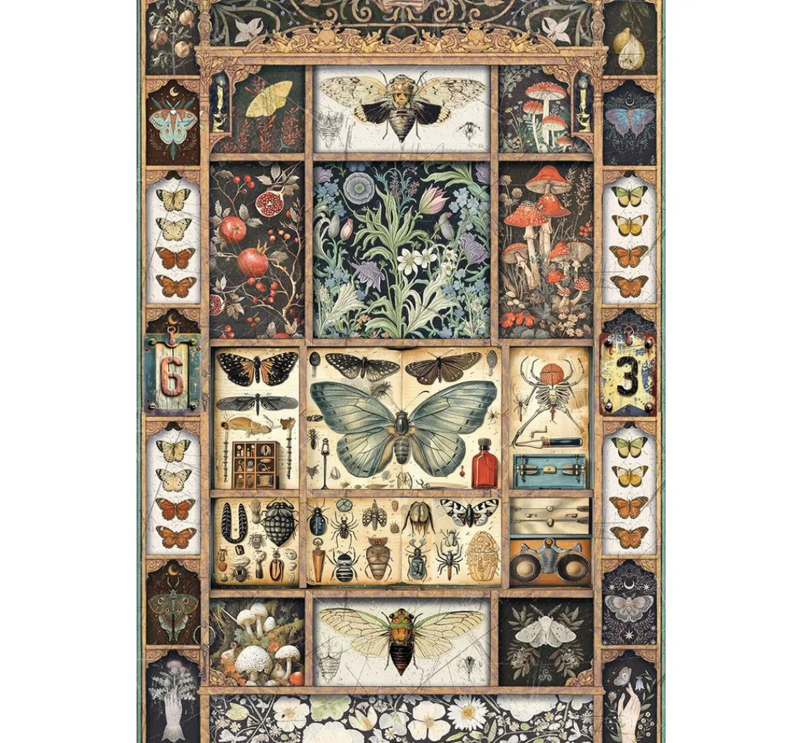Discount Ciao Bella Motiv-Strohseiden-Sortiment "Cabinet of Curiosities", 4er-Set