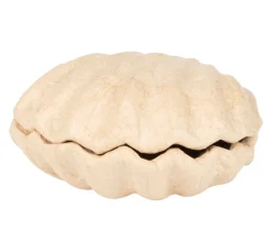 Hot décopatch Muschelbox, Pappmaché