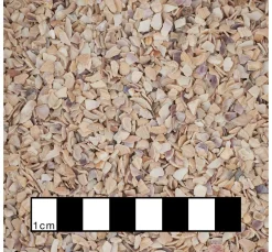 Hot Eurosand Muschelgranulat