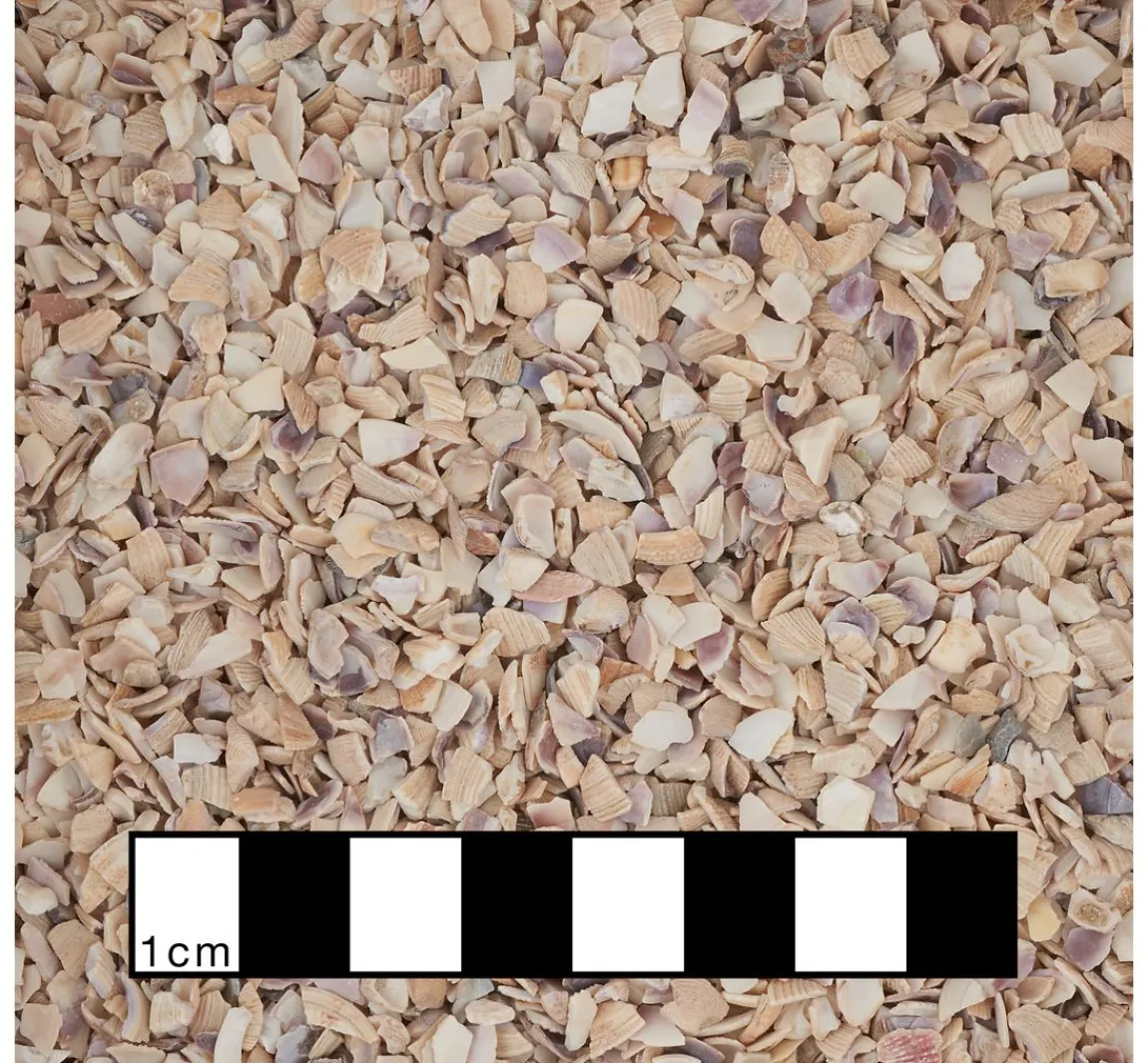 Hot Eurosand Muschelgranulat