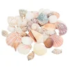 Sale Eurosand Muschel-Mix "Natur"