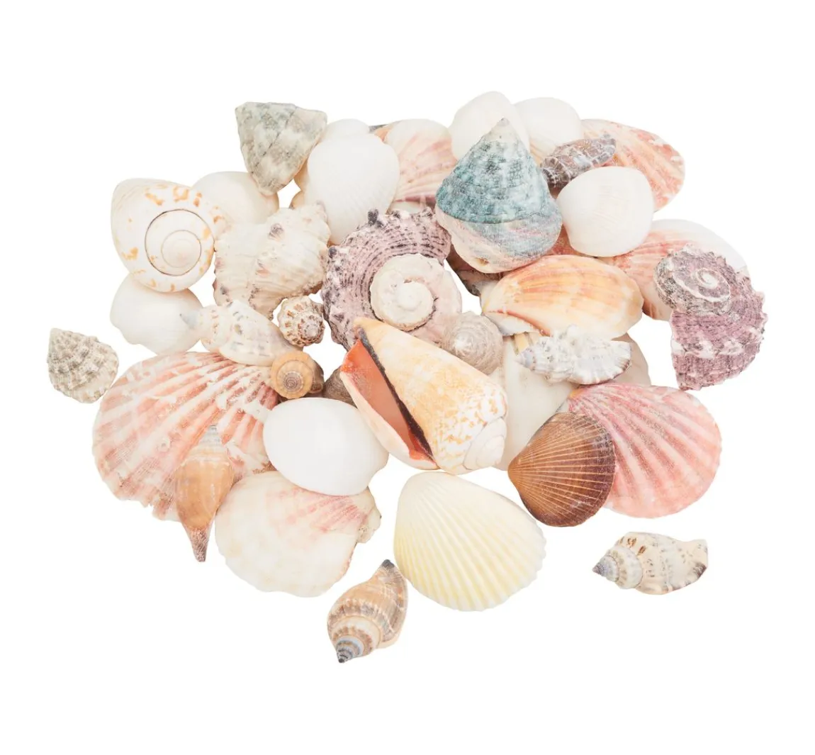 Sale Eurosand Muschel-Mix "Natur"