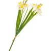 Hot DPI Narzissen-Bund "Yellow / White"