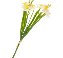 Hot DPI Narzissen-Bund "Yellow / White"