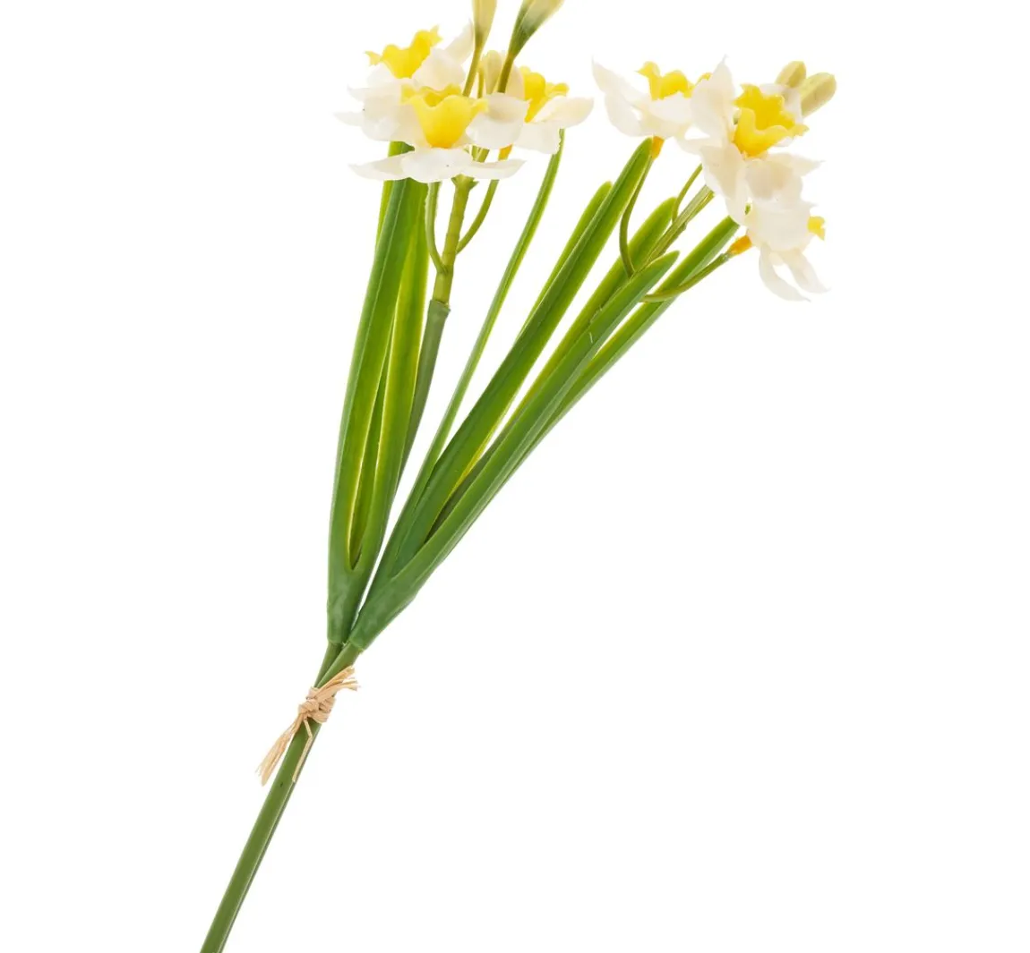 Hot DPI Narzissen-Bund "Yellow / White"