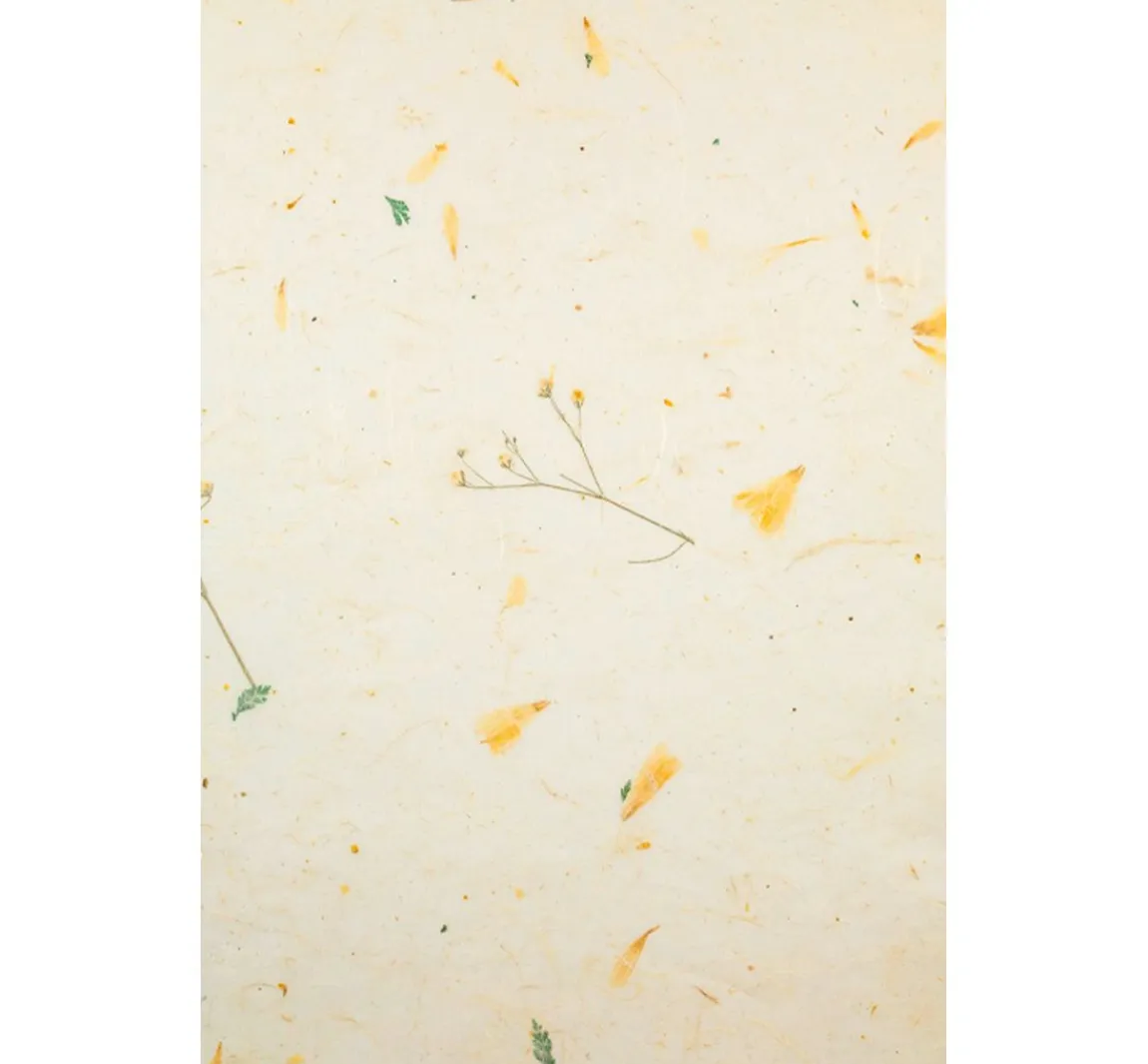 Outlet URSUS Naturpapiere "Daisy"