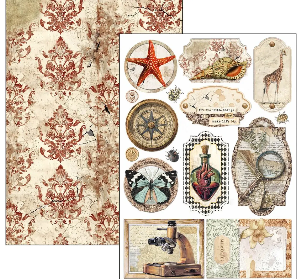 Clearance Ciao Bella Papier-Set "Cabinet of Curiosities"