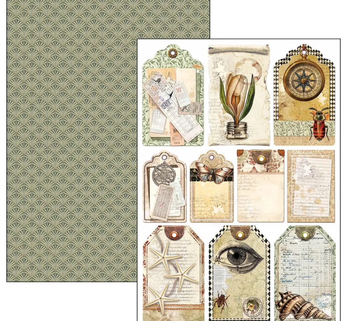 Clearance Ciao Bella Papier-Set "Cabinet of Curiosities"