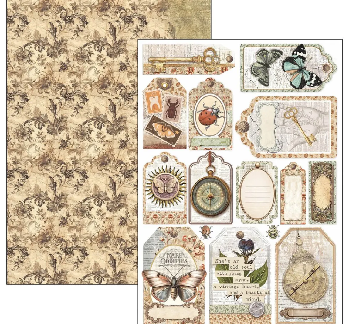 Clearance Ciao Bella Papier-Set "Cabinet of Curiosities"