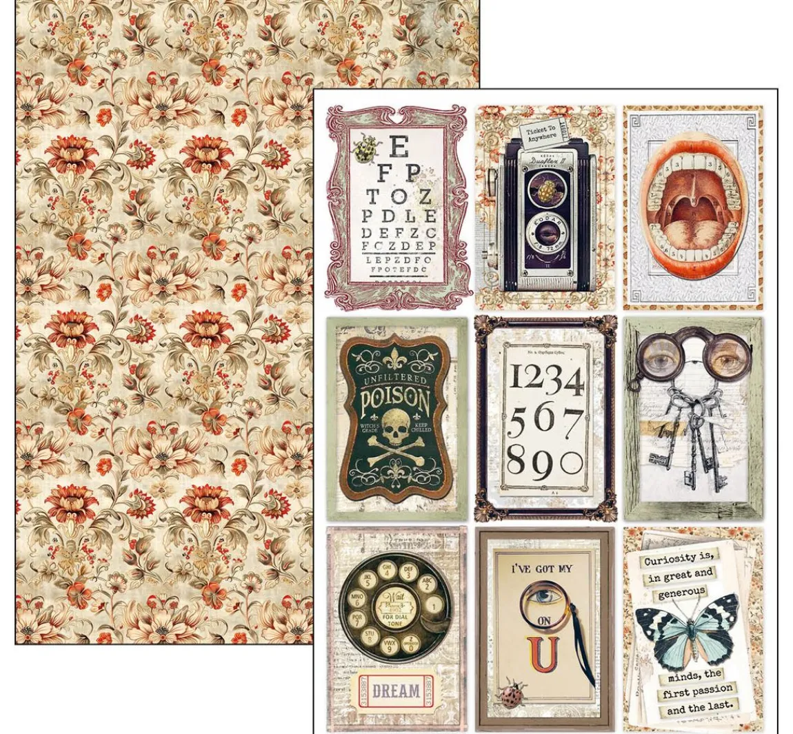 Clearance Ciao Bella Papier-Set "Cabinet of Curiosities"