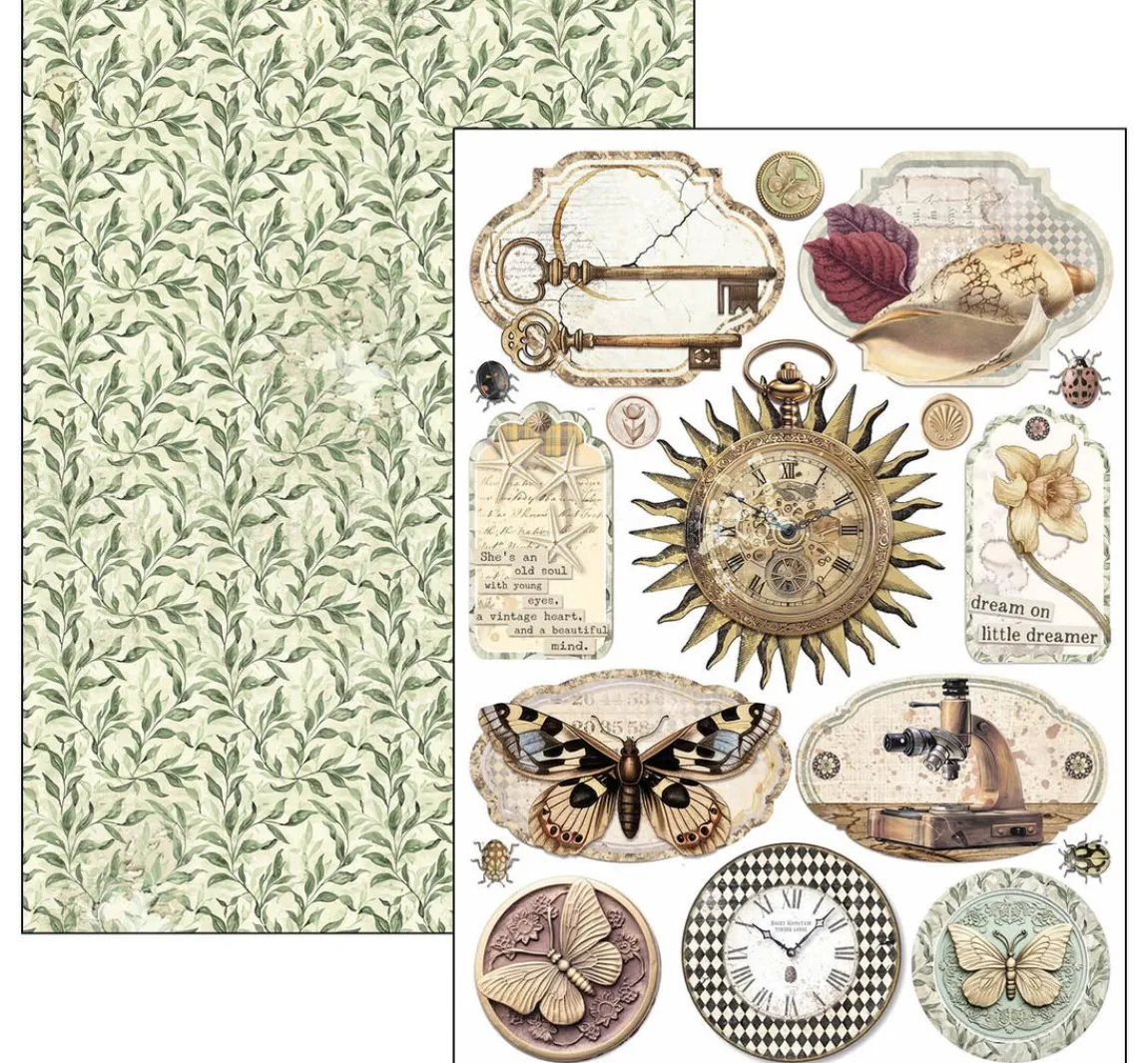 Clearance Ciao Bella Papier-Set "Cabinet of Curiosities"