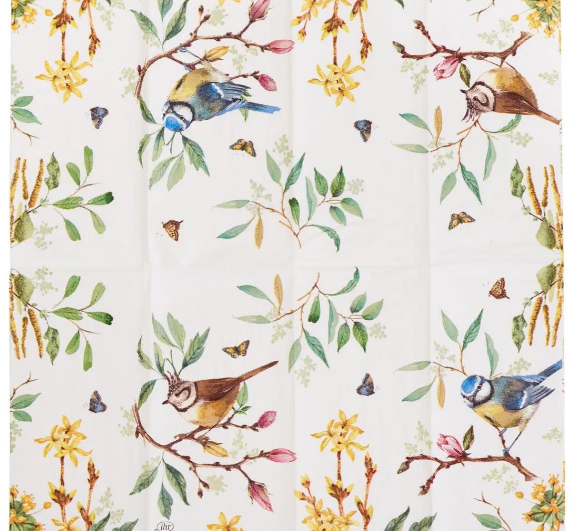 Discount IHR Papiertaschentücher "Bird Story"