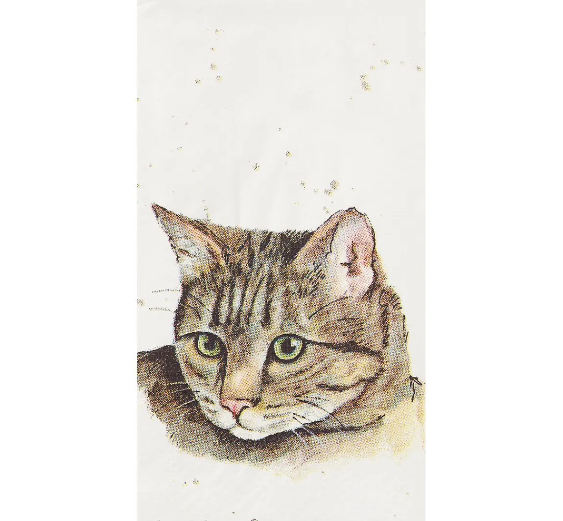 Best IHR Papiertaschentücher "Cat"
