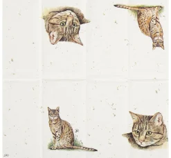 Best IHR Papiertaschentücher "Cat"