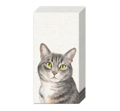 Clearance IHR Papiertaschentücher "Cat"