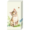 Discount IHR Papiertaschentücher "Cat Kira"