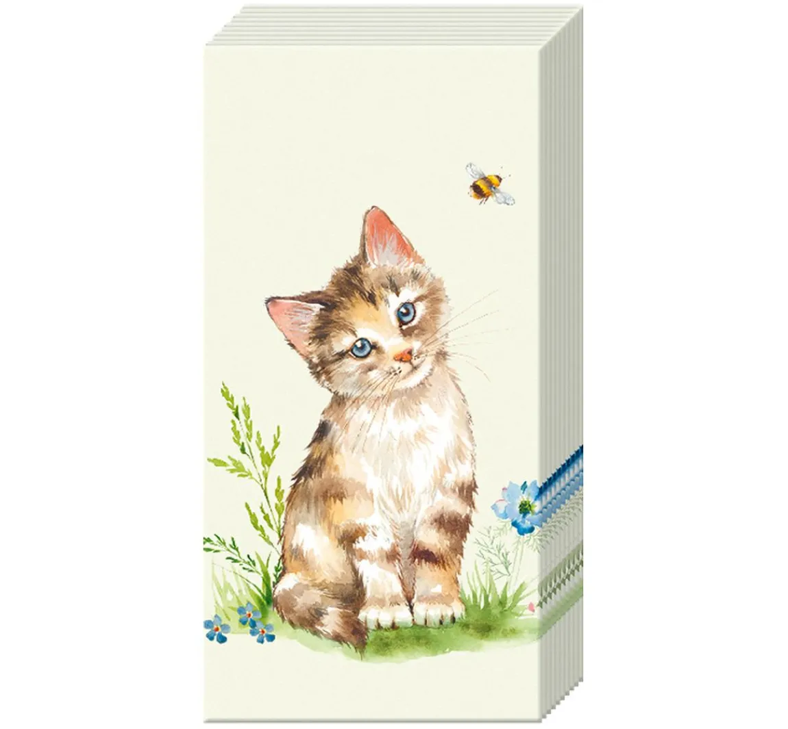 Discount IHR Papiertaschentücher "Cat Kira"