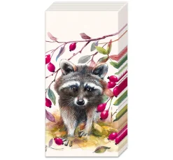 Best IHR Papiertaschentücher "Waschbär"