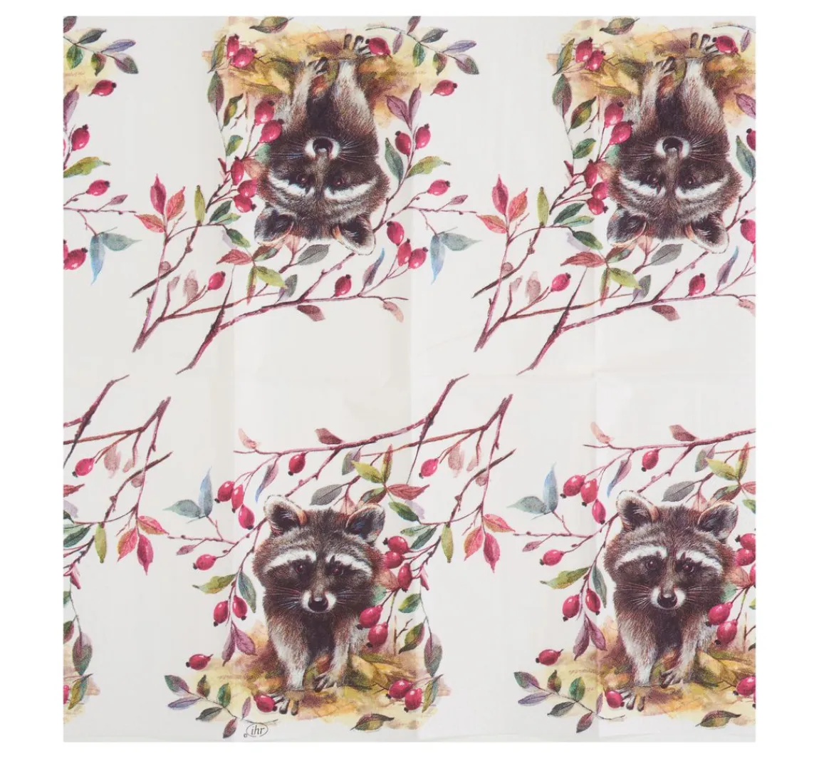 Best IHR Papiertaschentücher "Waschbär"