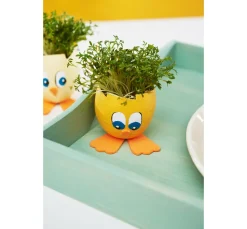 Discount décopatch Papp-Eierschalen, wasserdicht