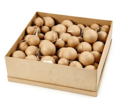 Discount creativ company Pappmaché-Kugeln "Größen-Mix", 105 Stück