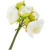 Sale DPI Pfingstrosen-Bund mit 5 Blüten