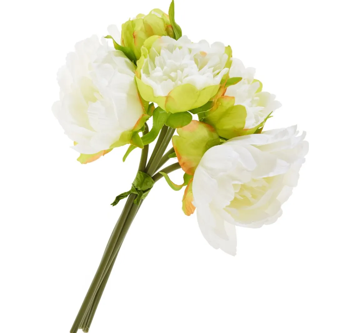 Sale DPI Pfingstrosen-Bund mit 5 Blüten
