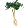 DPI Philodendron-Busch
