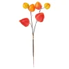 New DPI Physalis Zweig, 6 Lampionblüten