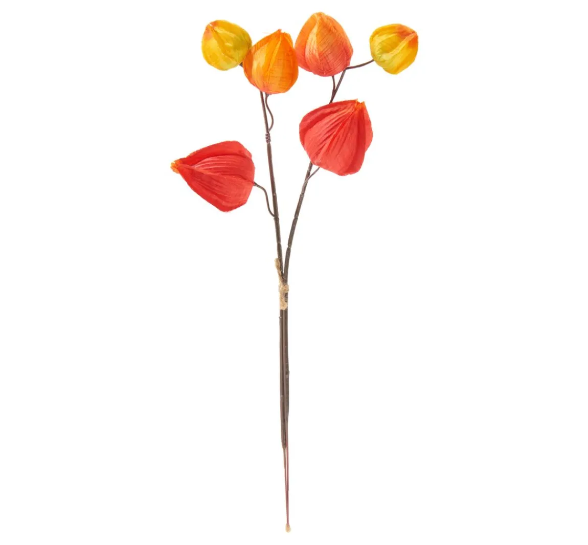 New DPI Physalis Zweig, 6 Lampionblüten