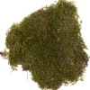 New VBS Plattenmoos, 50 g